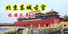 大鸡巴插入屁股里面操网页中国北京-东城古宫旅游风景区